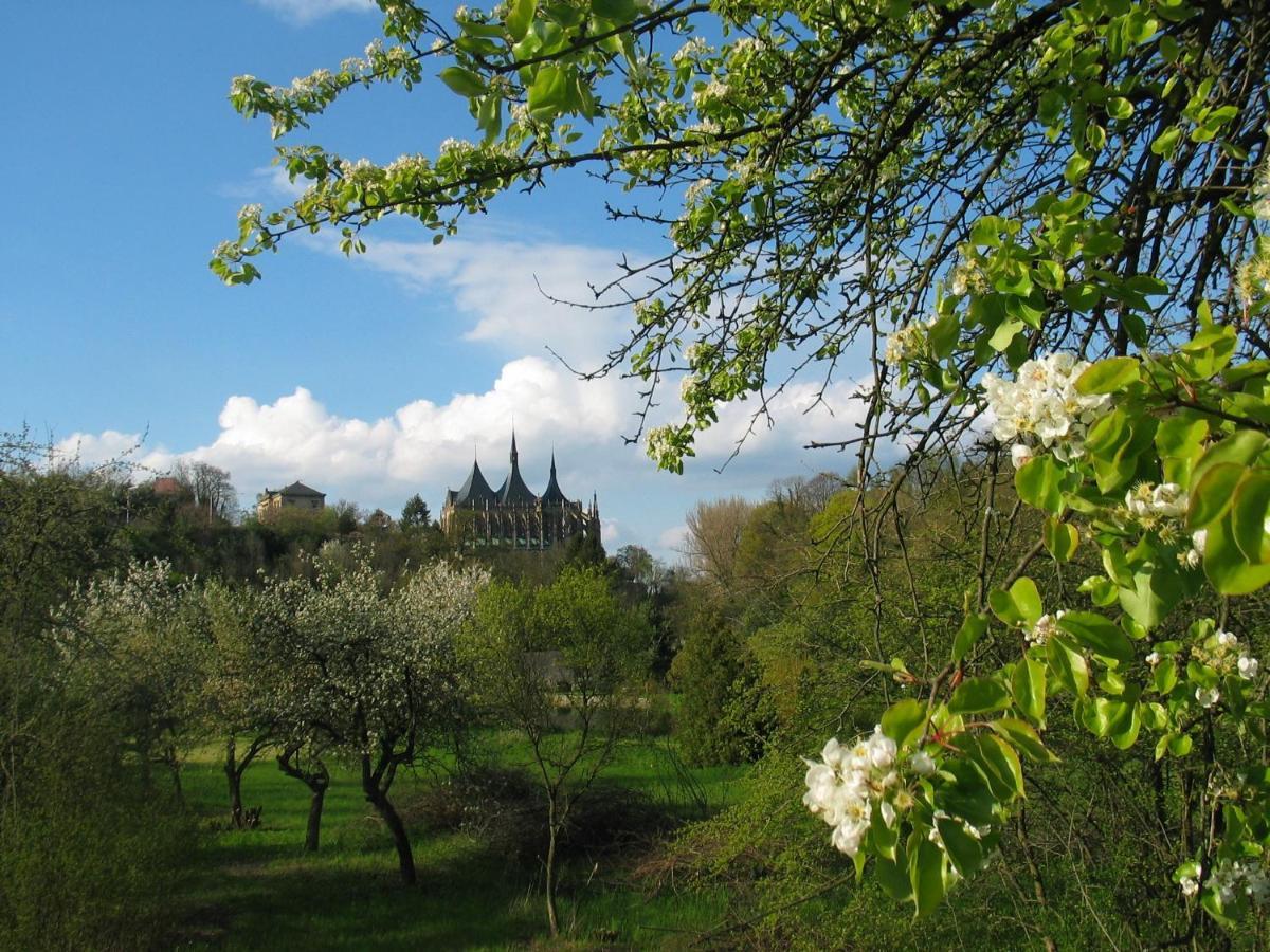 Penzion Art Kutná Hora Zewnętrze zdjęcie